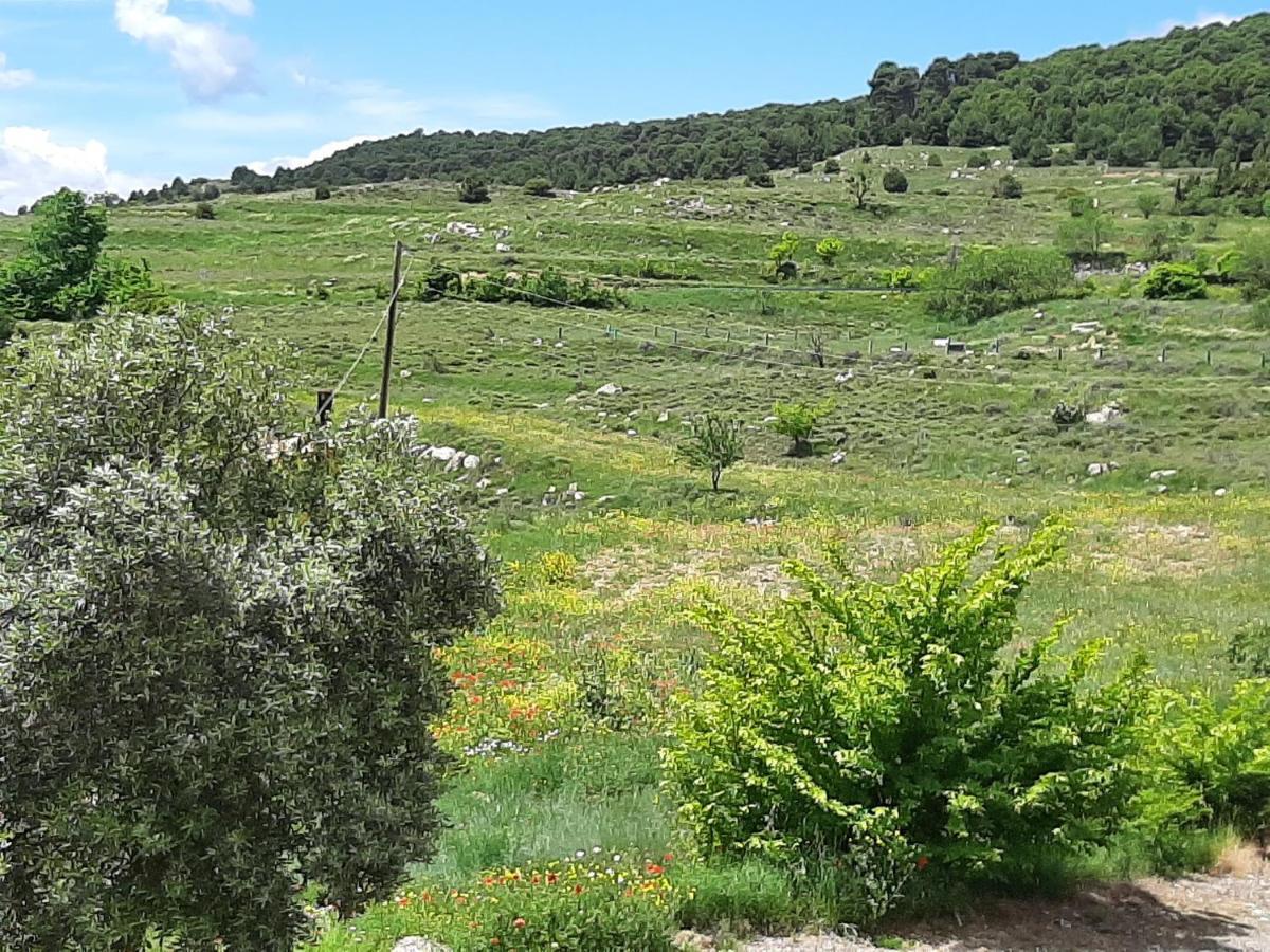 Garnacha De Guest