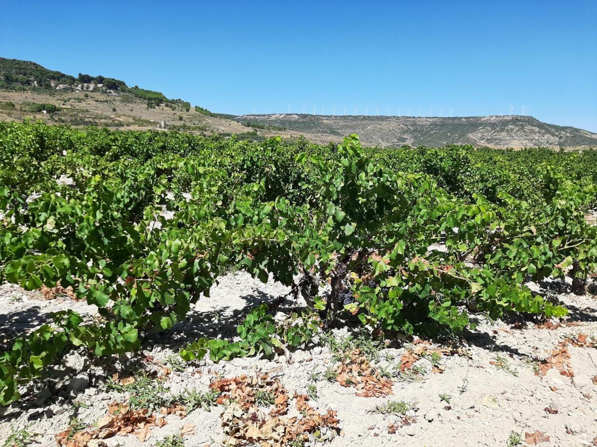 Garnacha De Guest