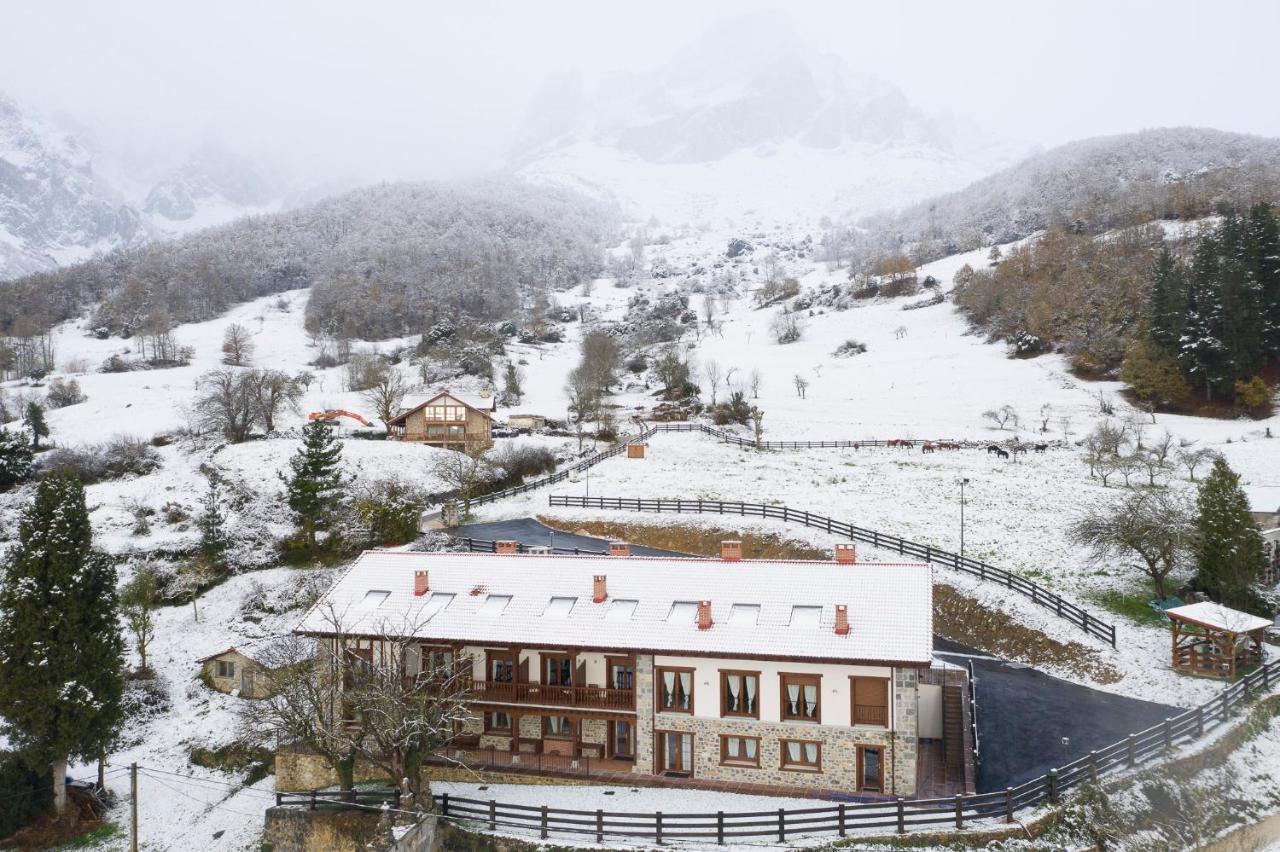 Picos De Europa Colio
