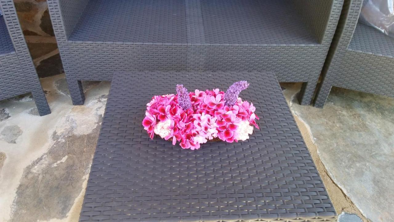 Charming In 25 Sqm Private Garden Apartamento Valencia de Alcántara