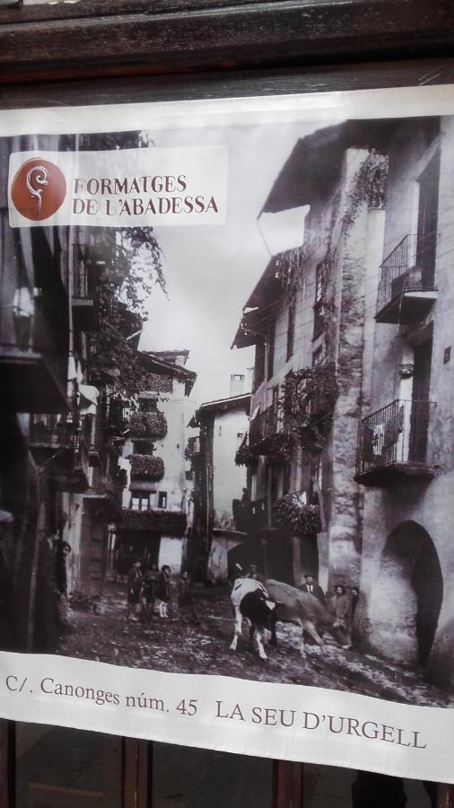 Cal Xico Casa rural Adrall