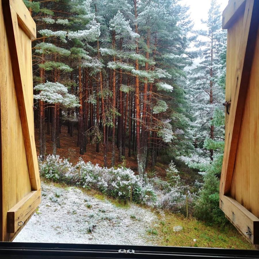 Cosy With Mountain View In La Pinilla 65 M² Pool Apartamento *
