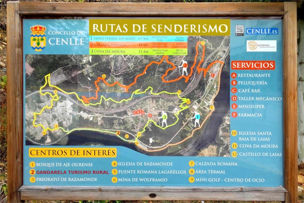 Gandarela * Ourense