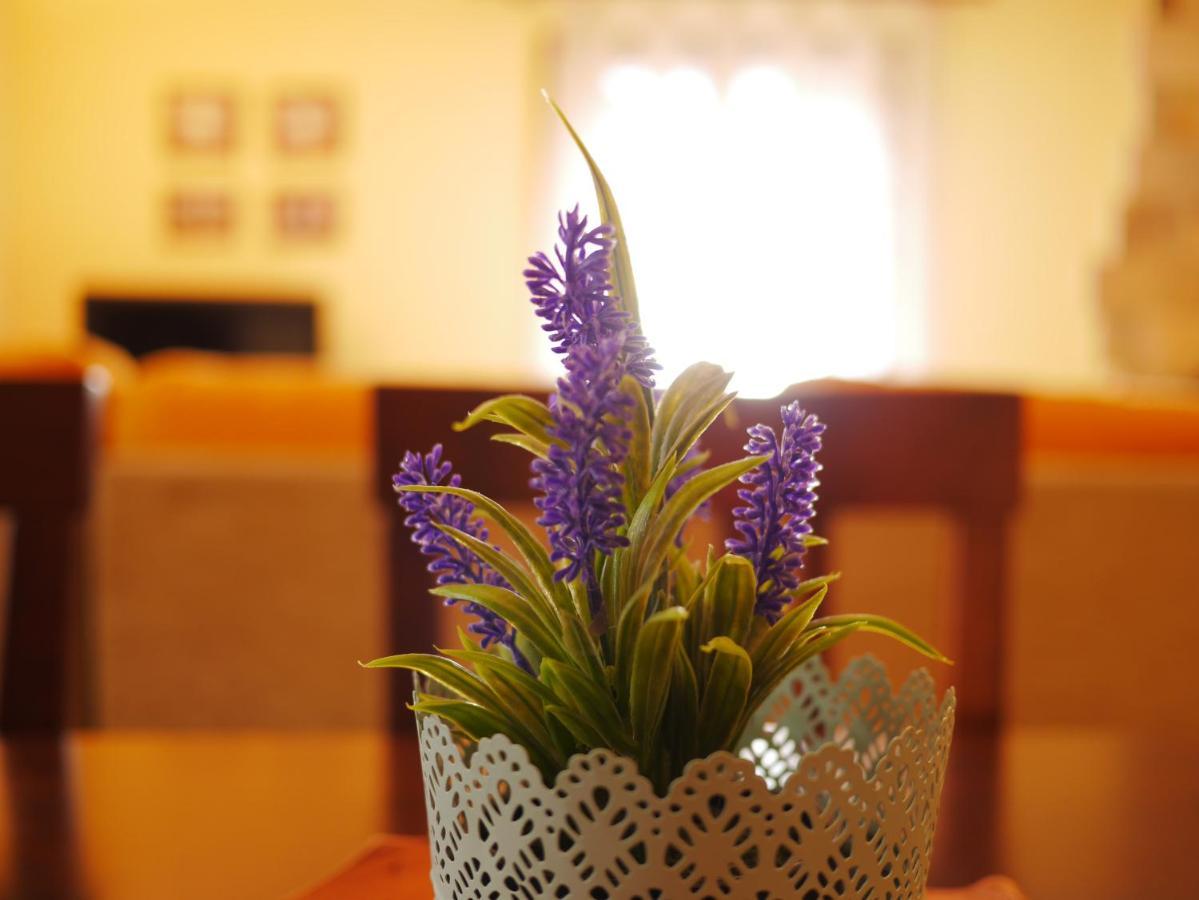 Casa Cecilia Apartment