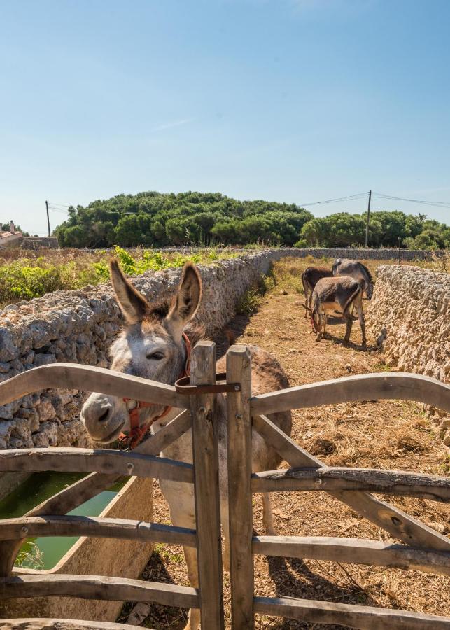 Casita D'en Carretero- Biniarroca Es Castell (Menorca)
