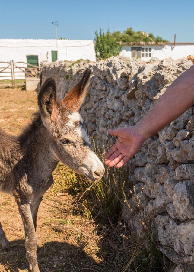 Сasa de vacaciones Casita D'en Carretero- Biniarroca Es Castell (Menorca)