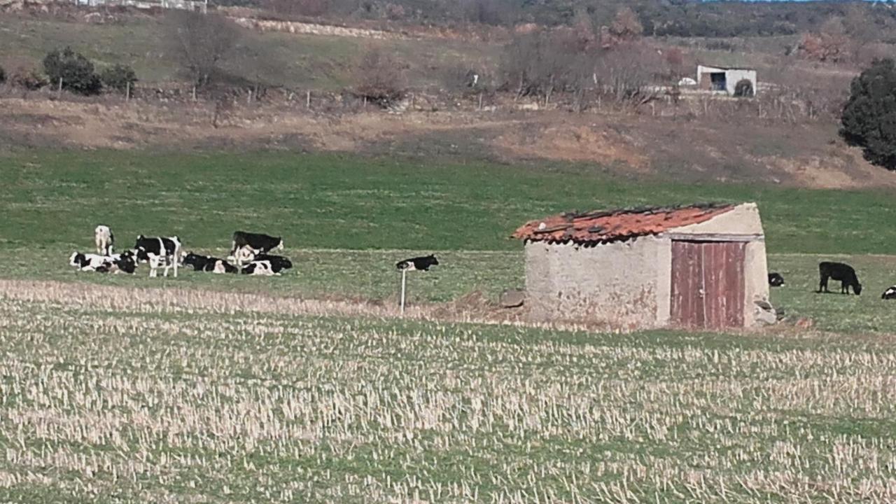 Cal Xico Casa rural Adrall