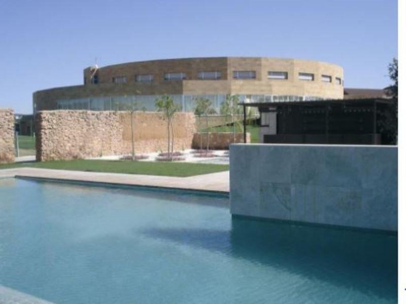Bodega Pago Del Vicario 4* Ciudad Real