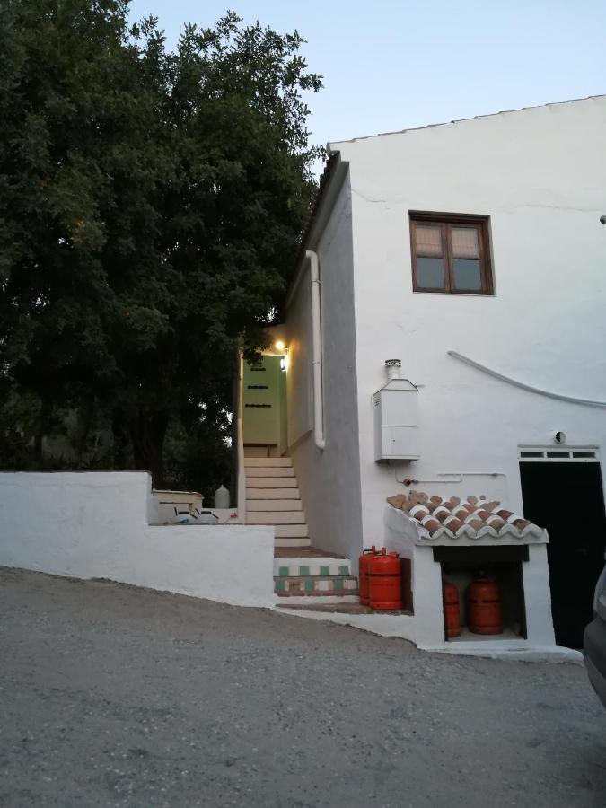 Guest house Olive Branch *