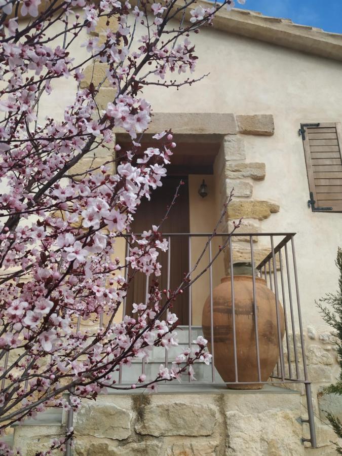 Casa rural Maset Del Riu Valderrobres