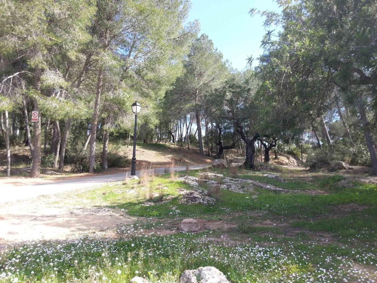 Conchin Casa Junto A Parque Natural *