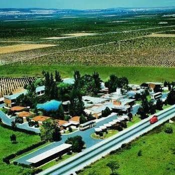 El Hidalgo