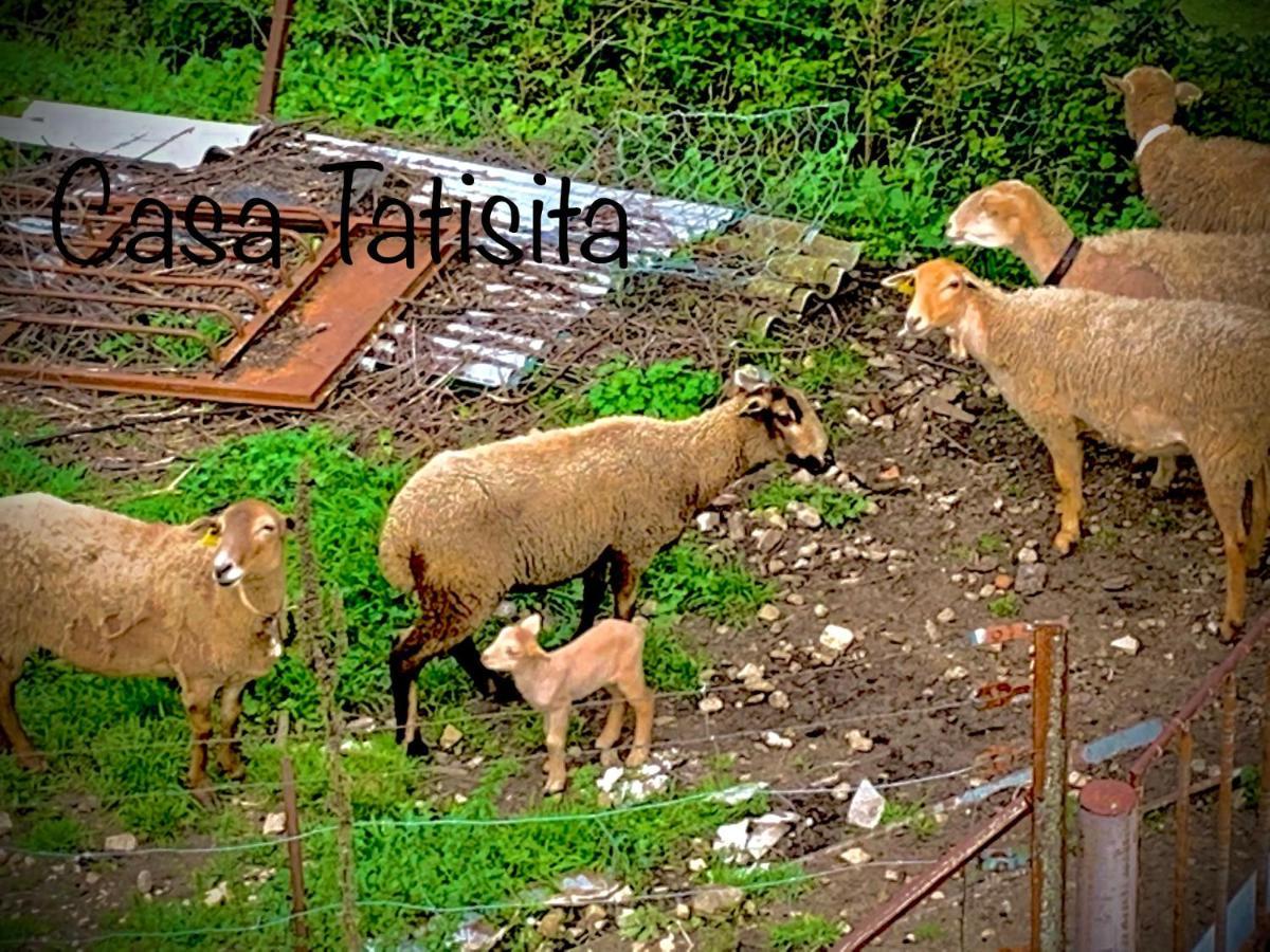 Rural Casa Tatisita Hotelito *