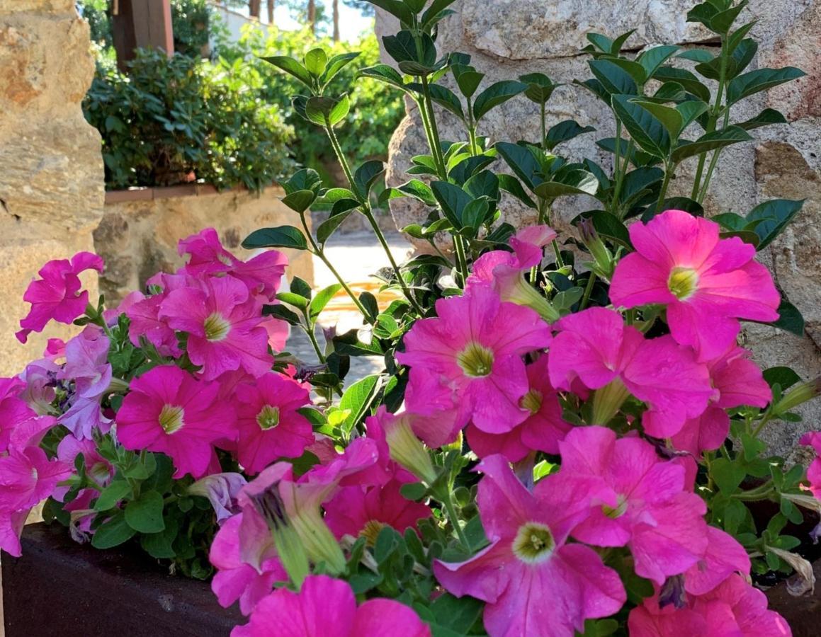 La Casita De Hortensias *