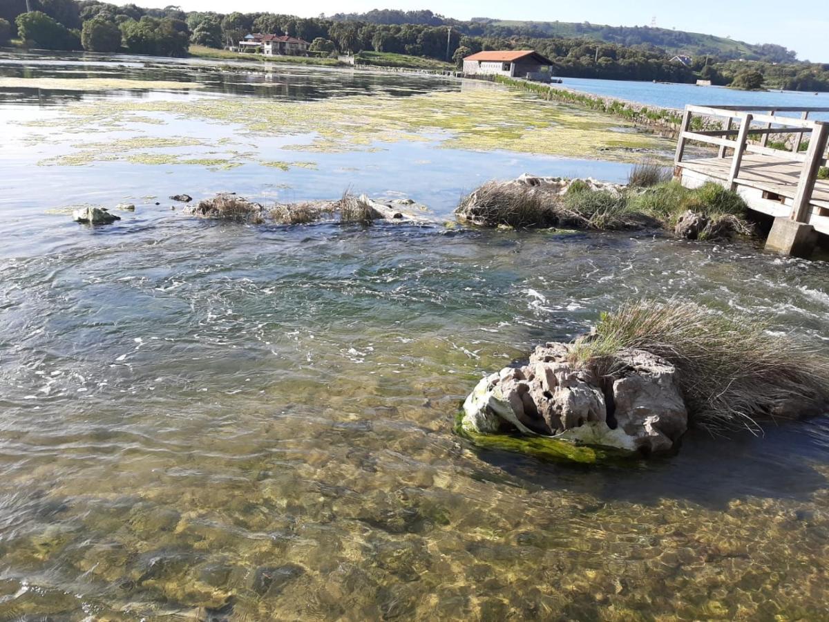 Playa La Arena Camping Isla Plana