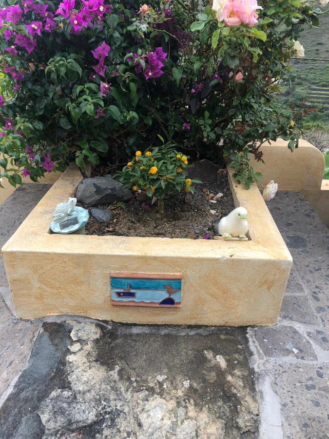 Corralitos *