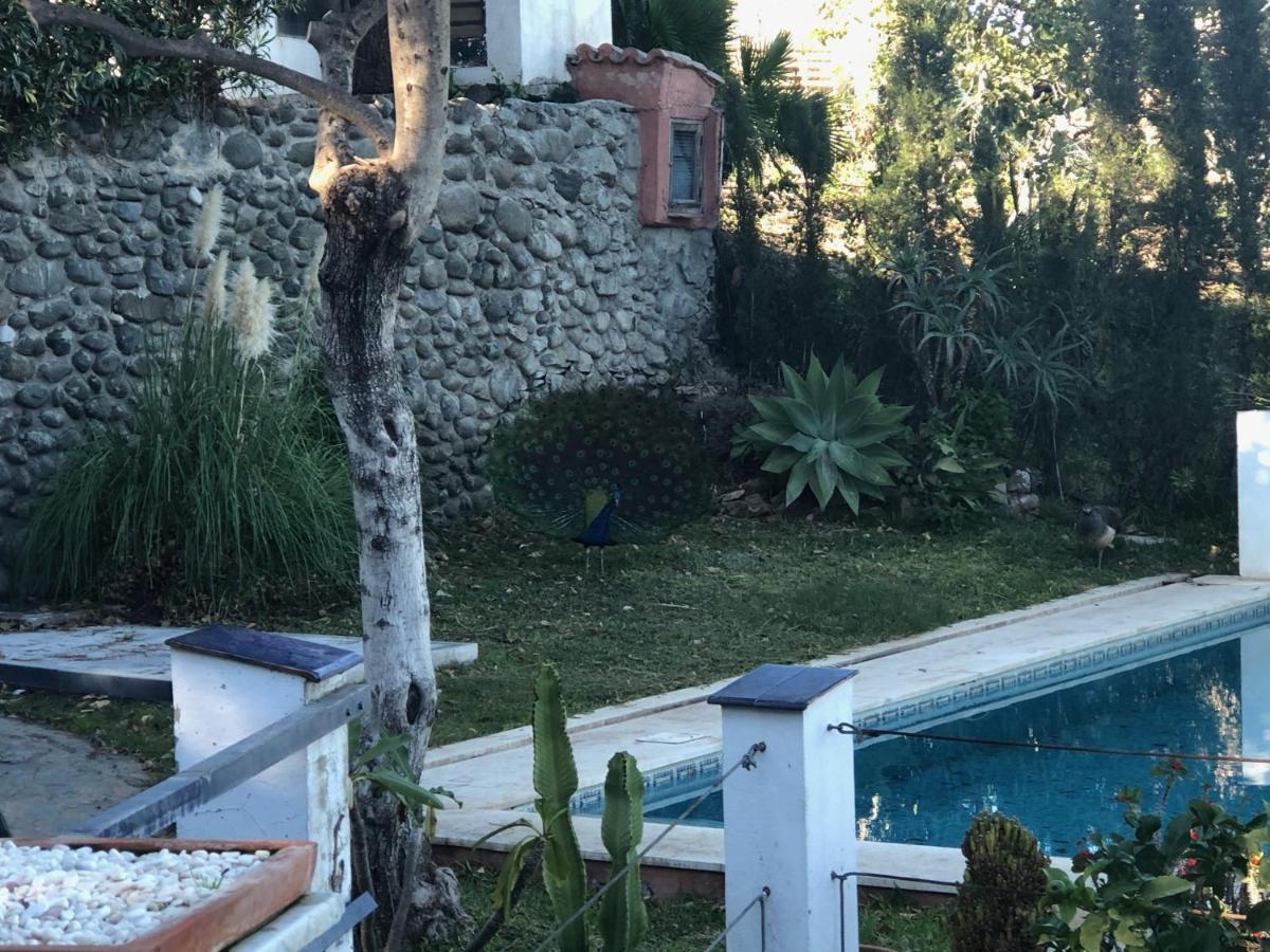 Pensión Casa Simba (adults Only)