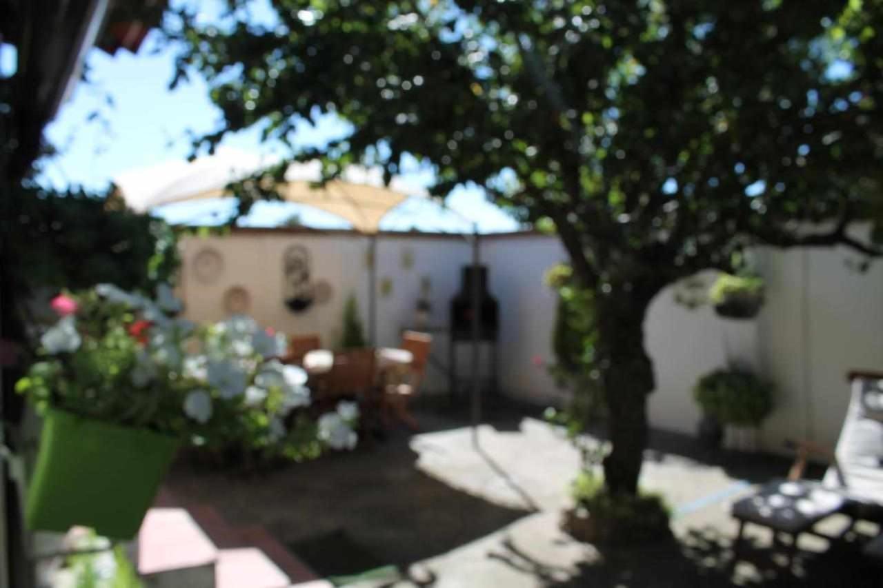 La Olmedana * Olmedo