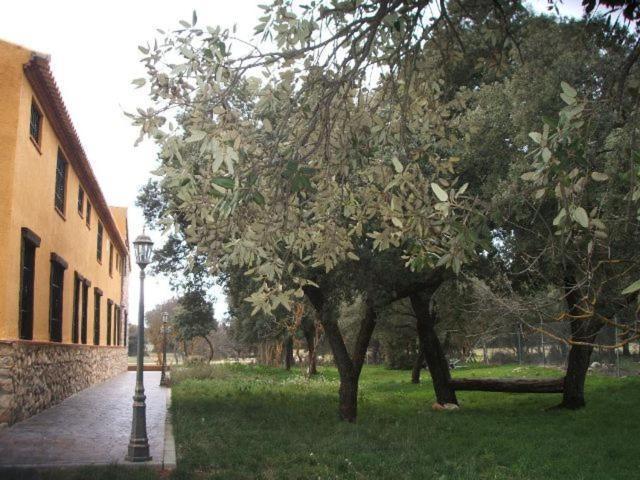 Hotel Rural Dehesa Del Rincon