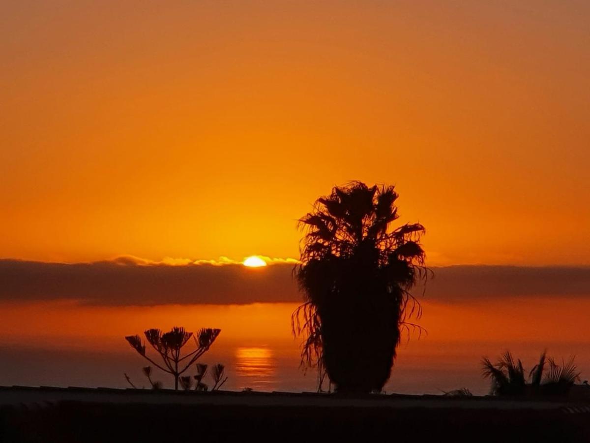 Viña Del Mar *