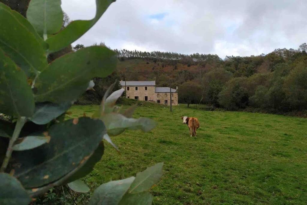 En Valadouro Serra Do Xistral Lugo En Medio De La Naturaleza * Lagoa