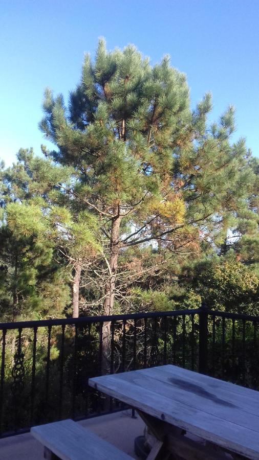 Turisticas: Pto De Compostela Holiday home Catasueiro