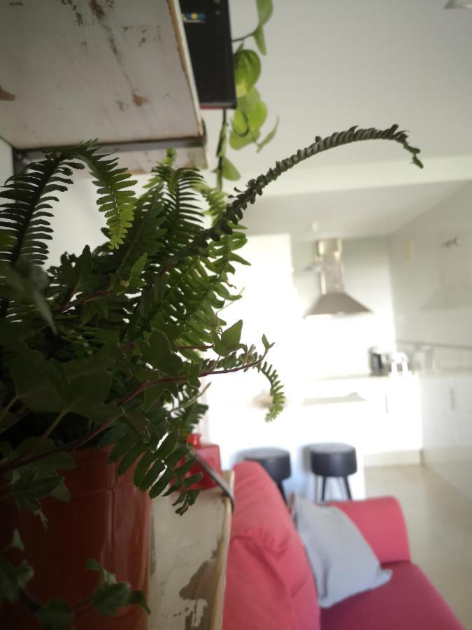 Apartamento Entres Dos Paraísos: Zahara De Atunes Y Tarifa La Zarzuela