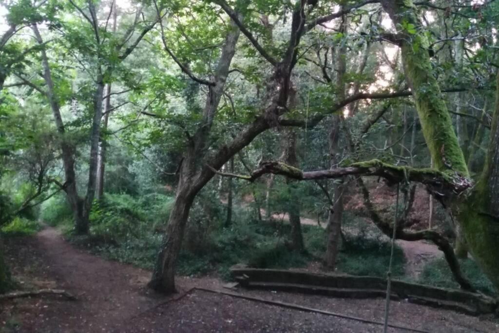 La Casa De Aldan Entre El Mar Y El Bosque