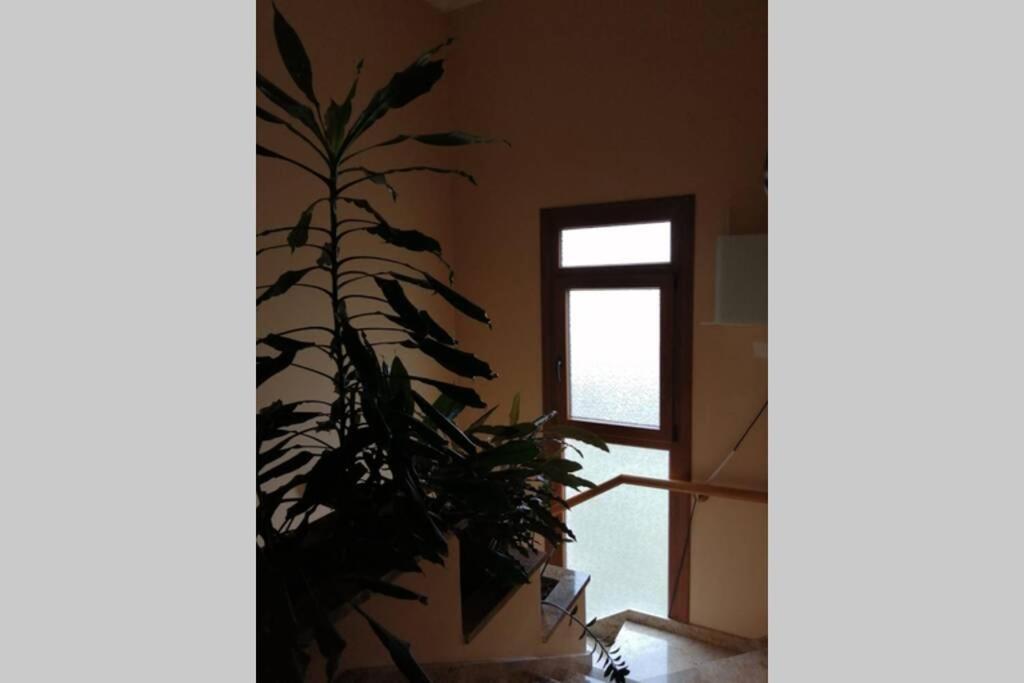 La Casa De Aldán Entre El Mar Y El Bosque Сasa de vacaciones *