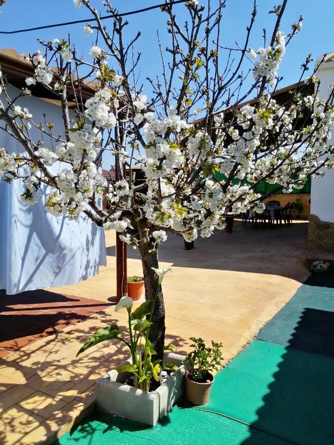 Country house Conjunto Rural Andrea *