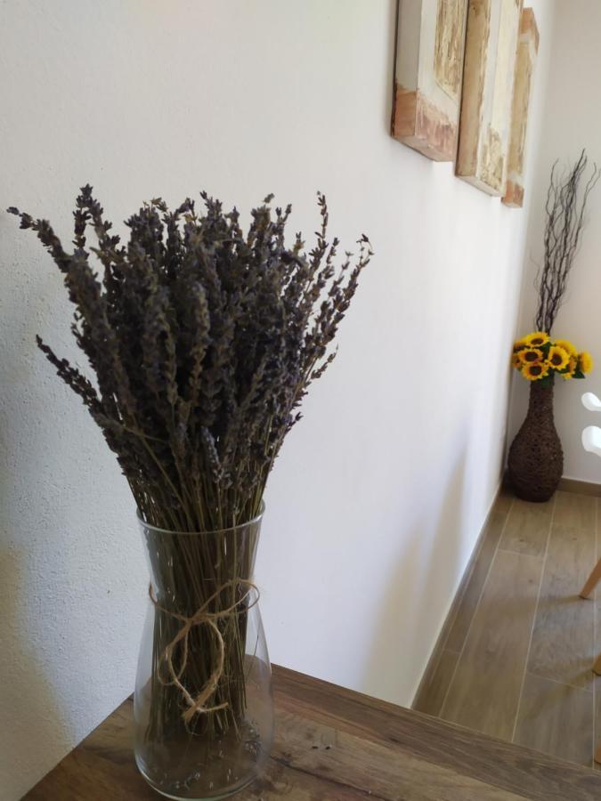 Xert Escapadas En Castellón Cerca De Morella Y Peñíscola * Chert
