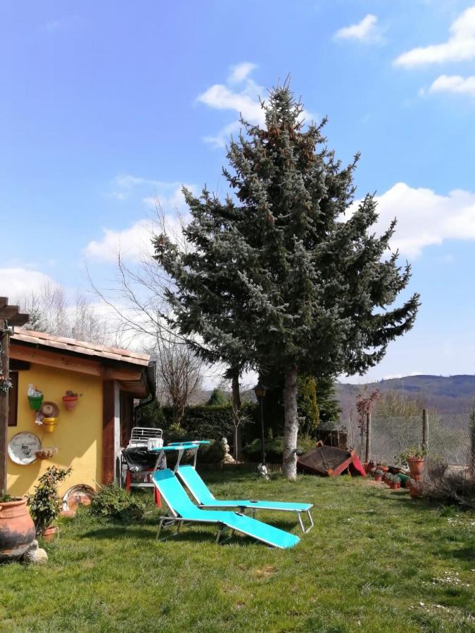 Casa Rous Homestay