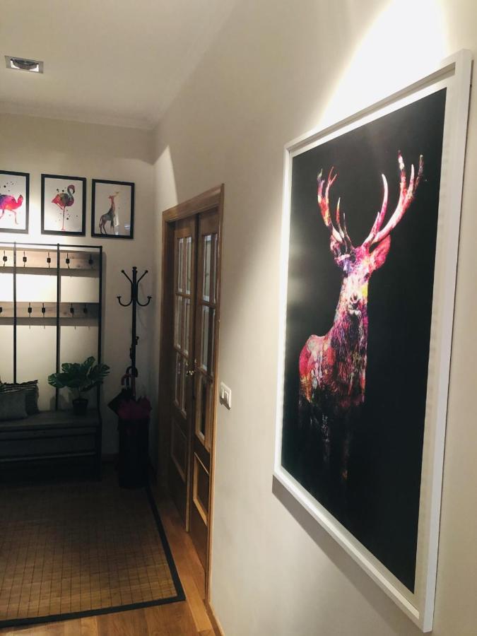 Anova Apartamento Padrón