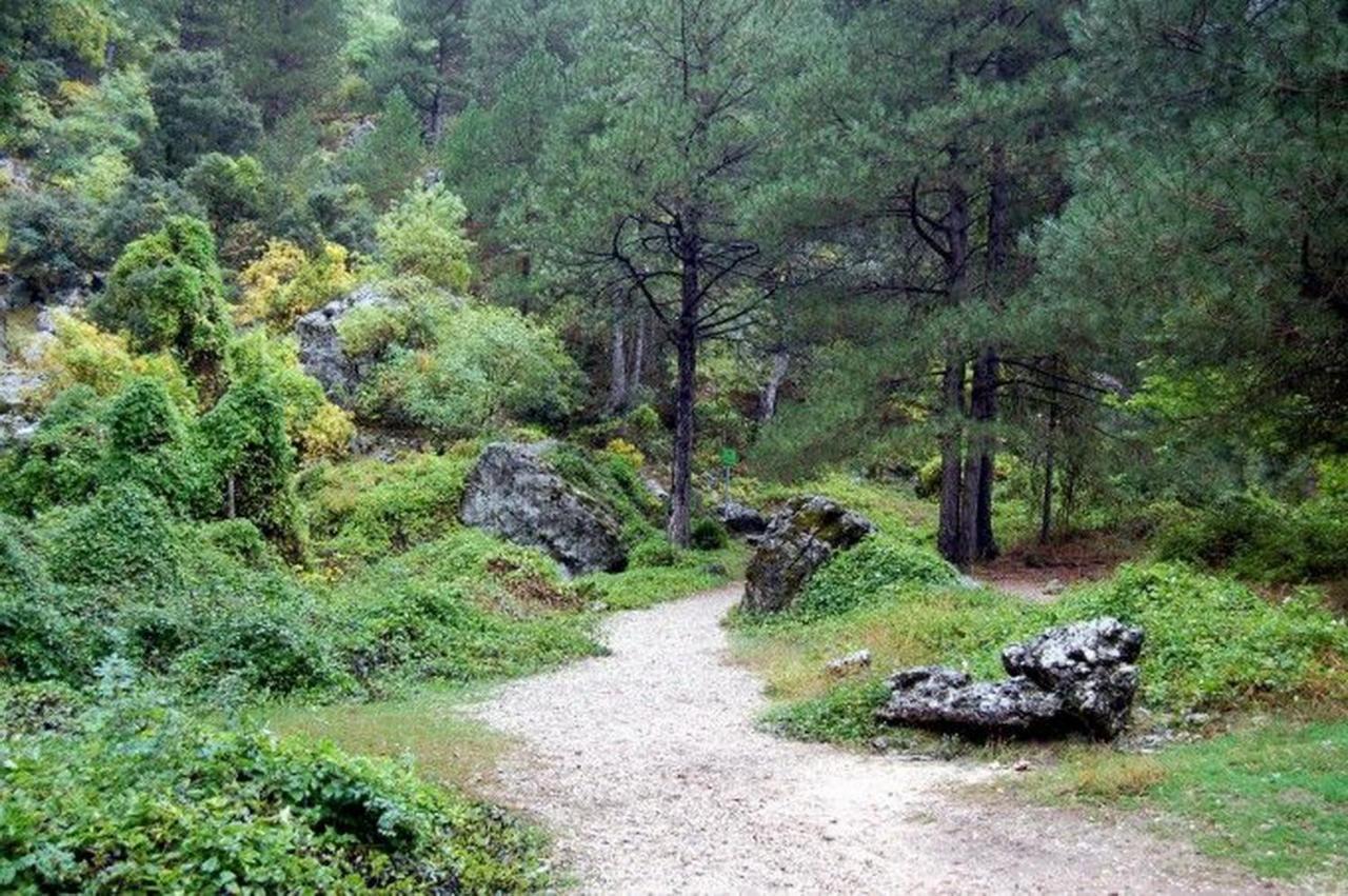 La Encina Chalet *
