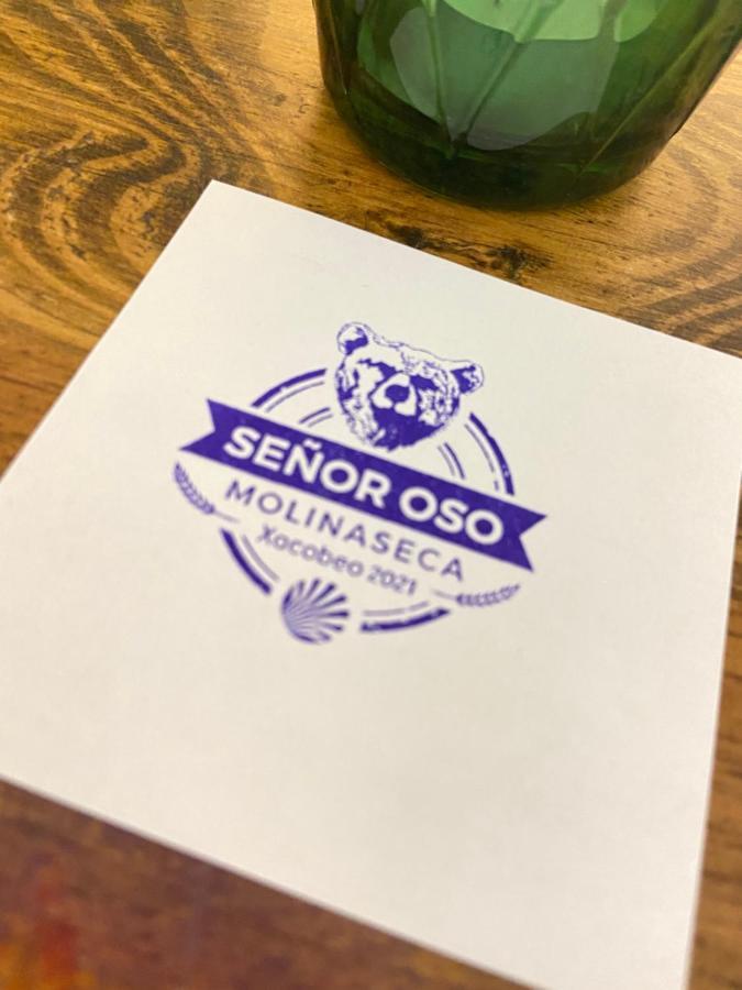 Senor Oso *