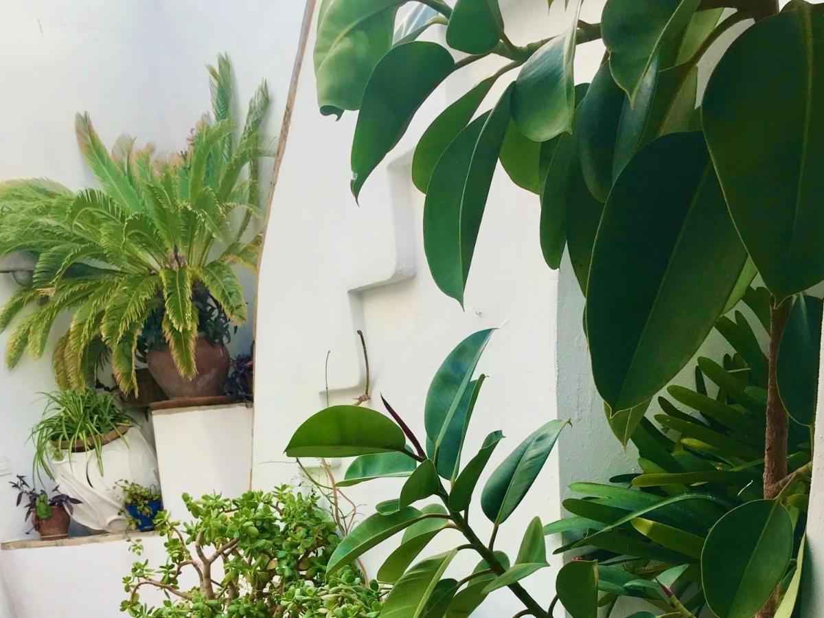Apartamento Casa La Fuente C Casas Vejer Debra Vejer de la Frontera