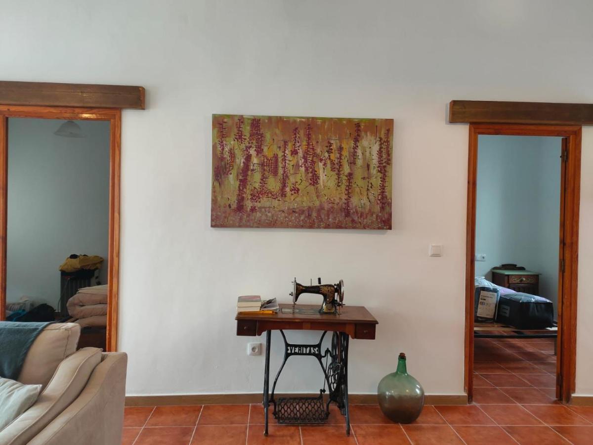 Holiday home Entre Vinyes *