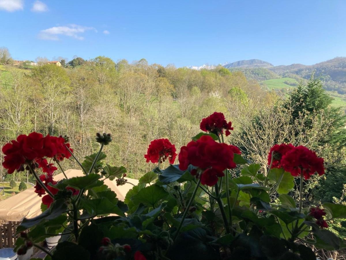 Casa Elena Con Wifi Y Parking Gratuito Holiday home Cangas de Onis