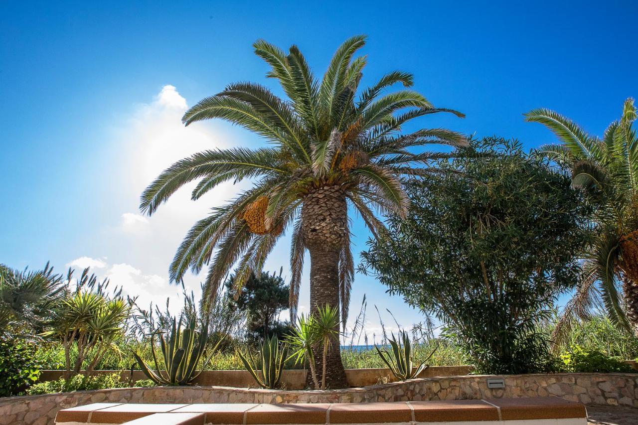 Guest house Sol Y Mar Playa Migjorn