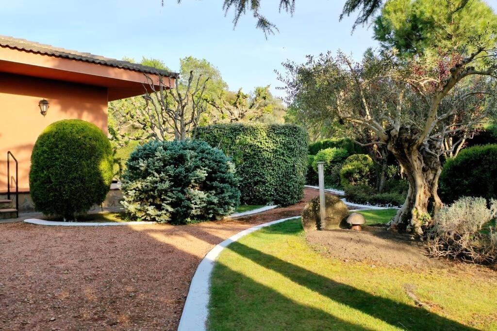Casa Con Piscina Y Gran Jardin - L'era De Cal Baro *