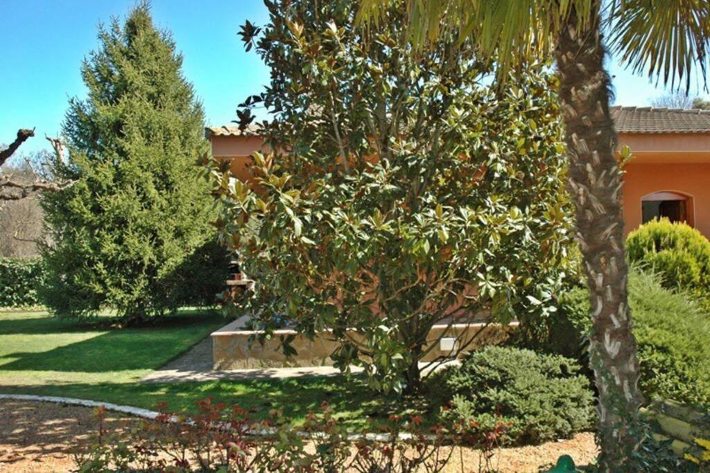 Casa Con Piscina Y Gran Jardin - L'era De Cal Baro Collfred