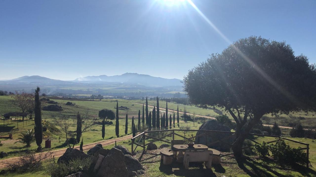 Romana