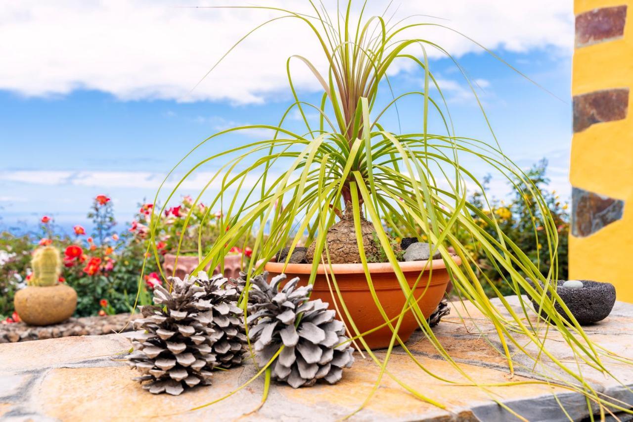 Сasa de vacaciones El Palmeral Tinizara