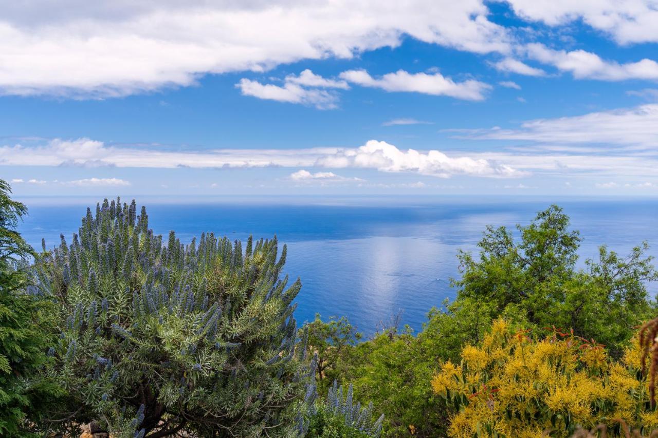 El Palmeral Сasa de vacaciones Tinizara