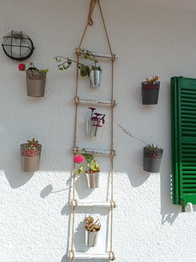 Fantastic, 100 Meters From The Beach Apartamento