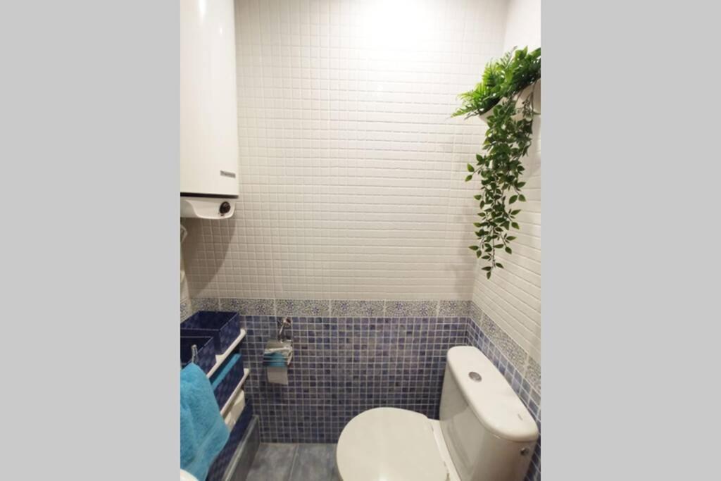 Apartamento Piso Céntrico Con Terraza. Gijón