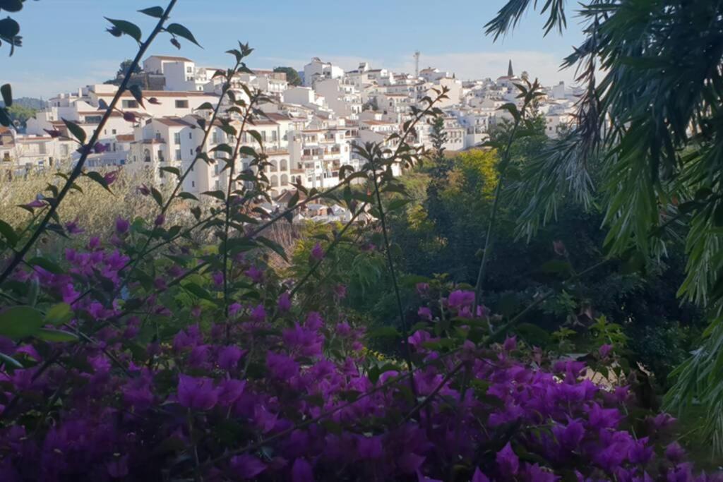 Apartment Blue Dream Vistamar Calaceite Costa Bed King Size Exclusive Torrox
