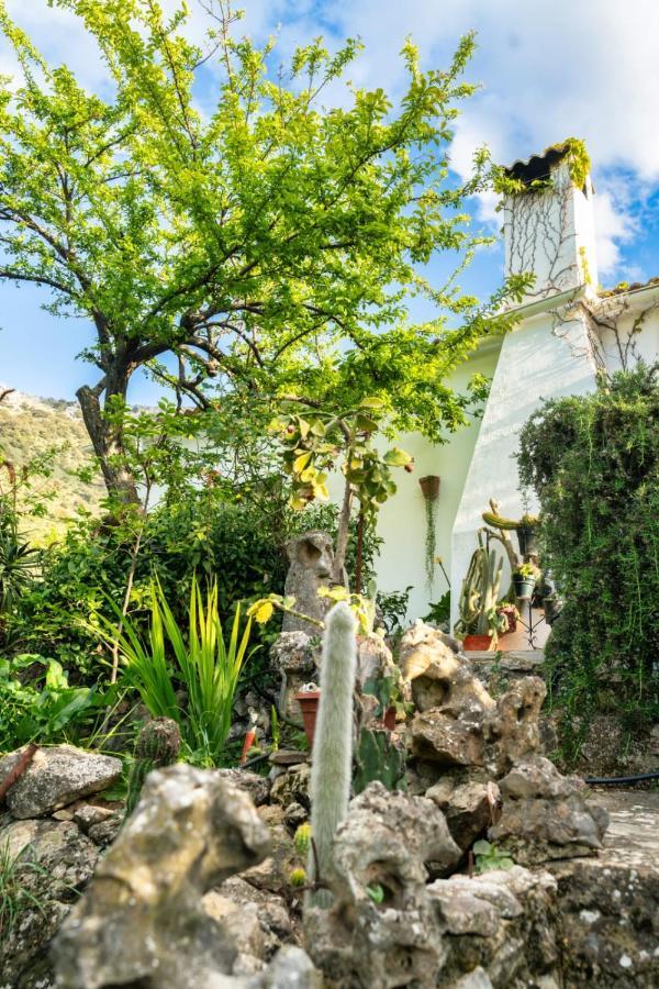 Сasa de vacaciones Cactus *