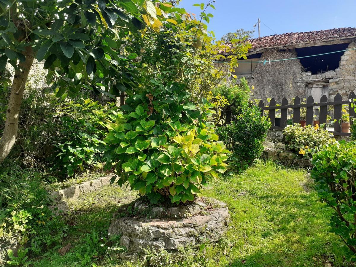 Casa Llorente Mere