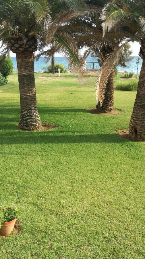 Haizea En * Denia